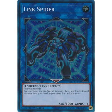 Ragno Link