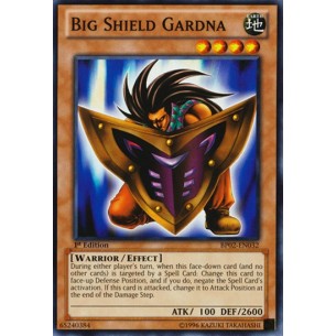 Grande Scudo Custode (V.1 -...