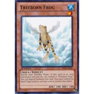 RANA degli Alberi (V.1 -...