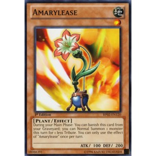 Amarylease (V.1 - Common)