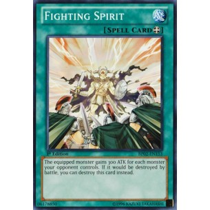 Spirito Combattente (V.1 -...