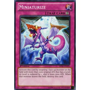 Miniaturizzare (V.1 - Common)