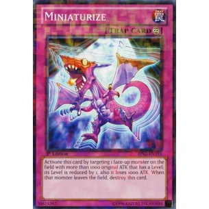 Miniaturizzare (V.2 -...