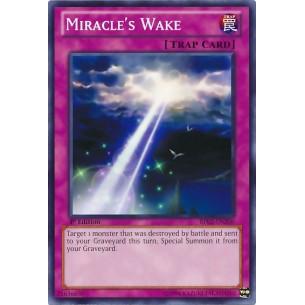 Risveglio del Miracolo (V.1...