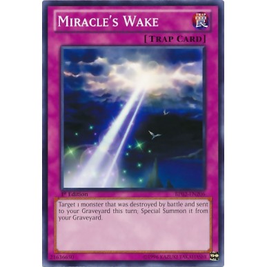 Risveglio del Miracolo (V.1 - Common)