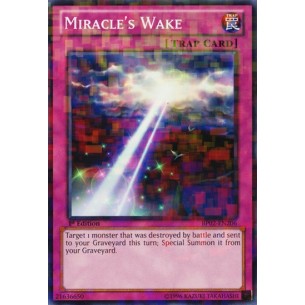 Risveglio del Miracolo (V.2...