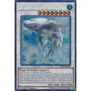 White Aura Whale