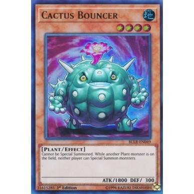 Cactus Bouncer