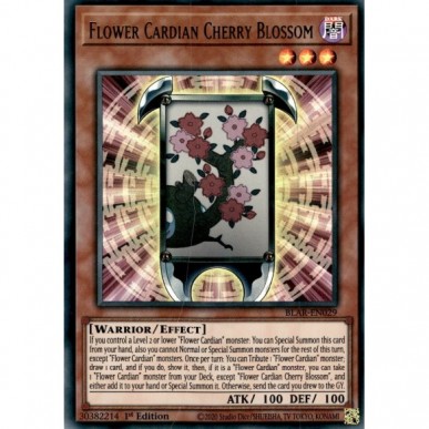 Flower Cardian Cherry Blossom