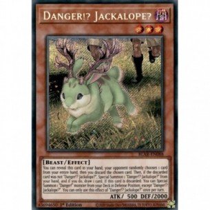 Danger!? Jackalope?