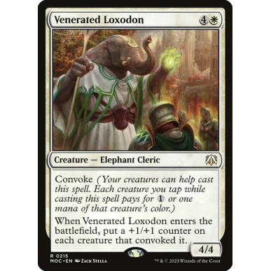 Lossodonte Venerato