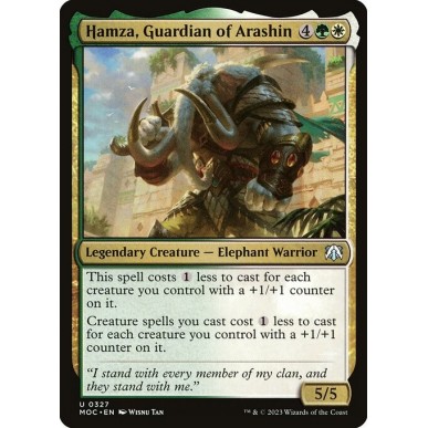 Hamza, Guardiano di Arashin