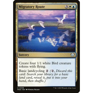 Rotta Migratoria