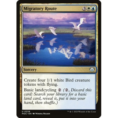 Rotta Migratoria