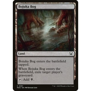 Acquitrino di Bojuka