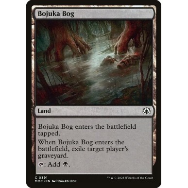 Acquitrino di Bojuka