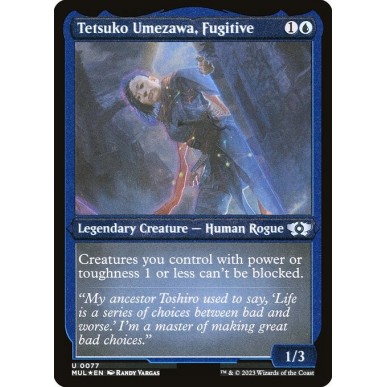 Tetsuko Umezawa, Fugitive