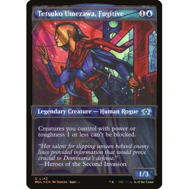 Tetsuko Umezawa, Fugitive