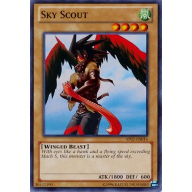 Sky Scout