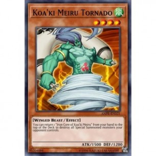 Tornado Koa'ki Meiru