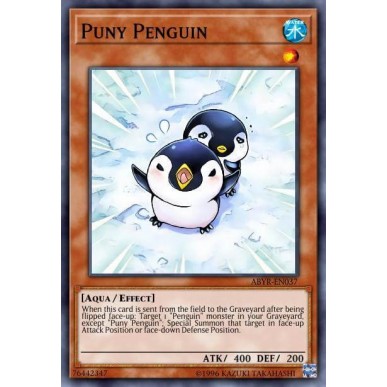 Pinguino Gracile