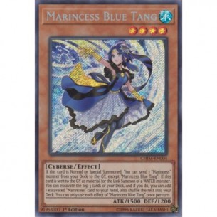 Marincipessa Chirurgo Blu