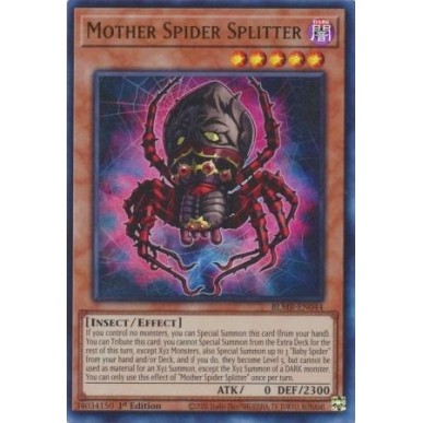 Ragno Madre Separante