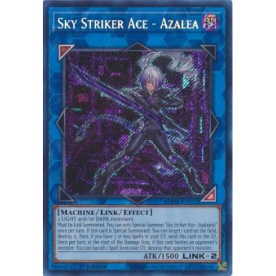 Assaltatrice del Cielo Asso - Azalea