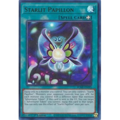 Papillon Lucestella