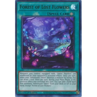 Foresta dei Fiori Perduti