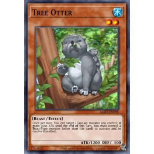 Lontra degli Alberi (V.1 -...