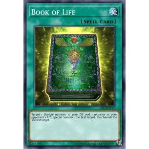 Libro della Vita (V.1 -...