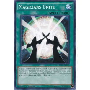 Maghi Riuniti (V.1 - Common)