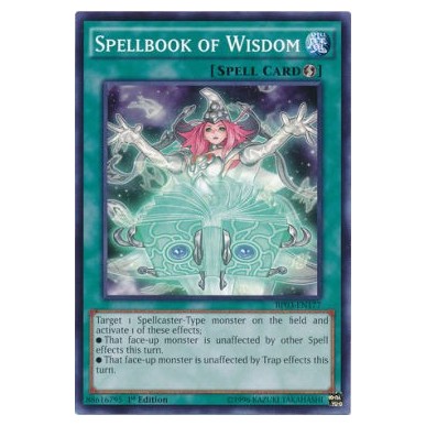 Libro di Magia della Saggezza (V.1 -...