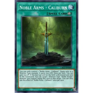 Nobili Armi - Caliburn (V.1...