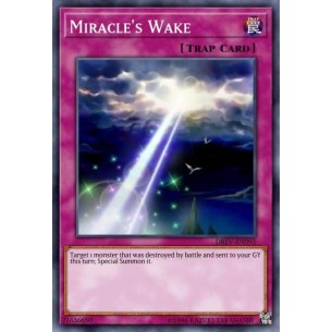 Risveglio del Miracolo (V.1...