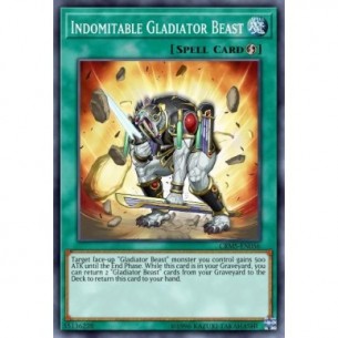 Gladiatore Bestia Indomito