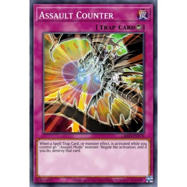 Assault Counter