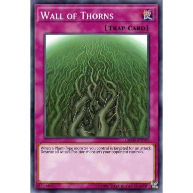 Wall of Thorns