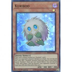 Kuriboo