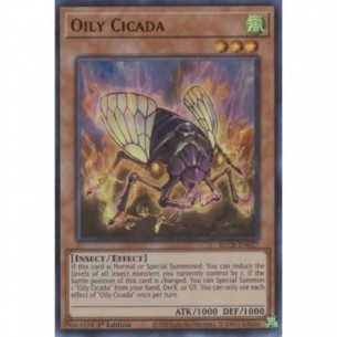 Oily Cicada