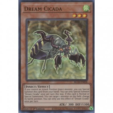 Dream Cicada