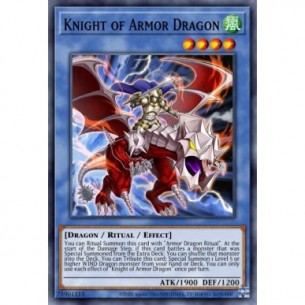 Knight of Armor Dragon