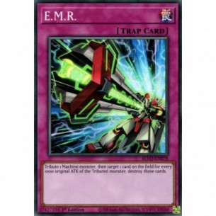 C.E.M.