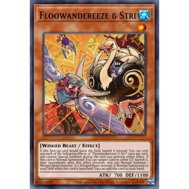 Floowandereeze & Stri