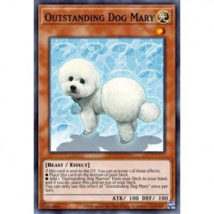Outstanding Dog Mary