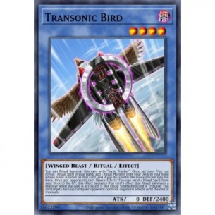 Transonic Bird