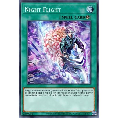 Volo Notturno
