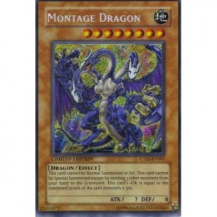 Montage Dragon