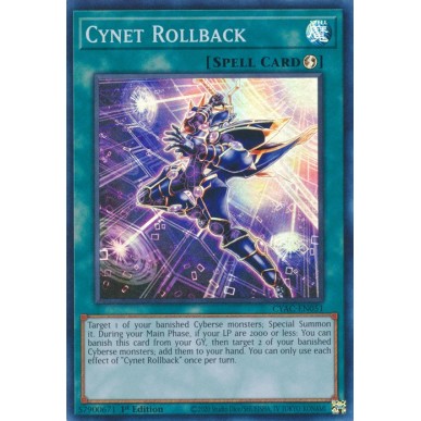 Cynet Rollback